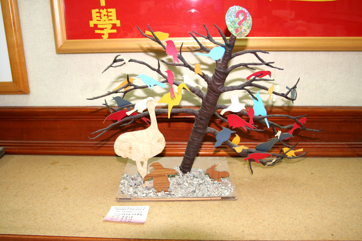 照片