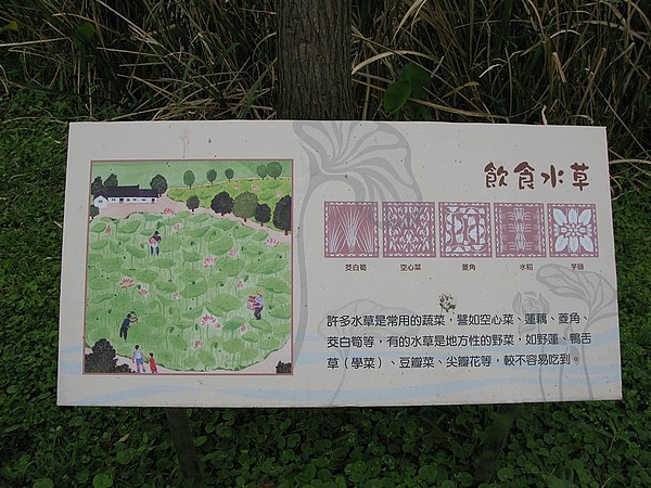 照片