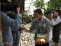 照片