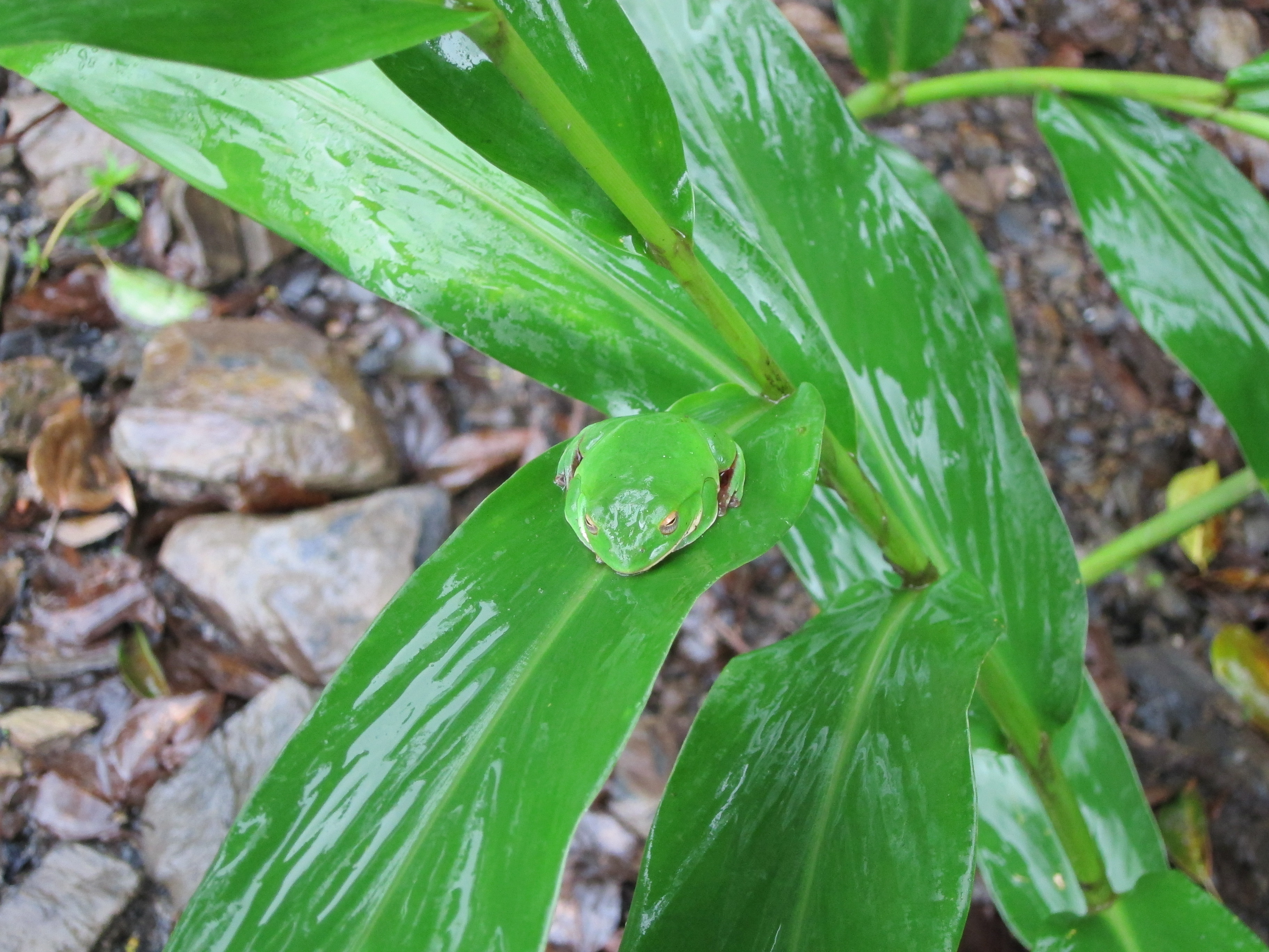 照片